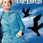 The Birds