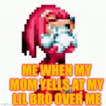 This is everyone | ME WHEN MY MOM YELLS AT MY LIL BRO OVER ME | image tagged in gifs,knuckles,sonic | made w/ Imgflip video-to-gif maker