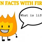fun facts with firey | What is life | image tagged in fun facts with firey | made w/ Imgflip meme maker