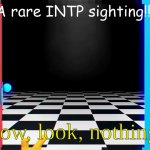 I love being a DHMIS loving INTP | A rare INTP sighting!!! wow, look, nothing! | image tagged in wow look nothing | made w/ Imgflip meme maker