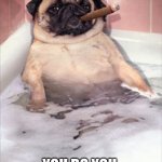 Pug Dog Cigar Bubble Bath | POV: LAISSEZ FAIRE; YOU DO YOU, IMMA DO ME | image tagged in pug dog cigar bubble bath | made w/ Imgflip meme maker