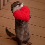 Otter Valentine | BE MY VALENTINE | image tagged in otter valentine | made w/ Imgflip meme maker