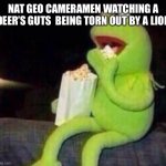 So true tho | NAT GEO CAMERAMEN WATCHING A DEER’S GUTS  BEING TORN OUT BY A LION | image tagged in kermit eating popcorn | made w/ Imgflip meme maker