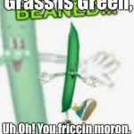 Happy valentines day. | Roses are red, Grass is Green, Uh Oh! You friccin moron.
You just got
BEANED!!! | image tagged in you just got beaned | made w/ Imgflip meme maker