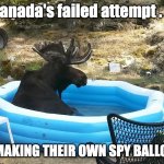 Moose in an inflatable pool | Canada's failed attempt . . . AT MAKING THEIR OWN SPY BALLOON. | image tagged in moose in an inflatable pool | made w/ Imgflip meme maker