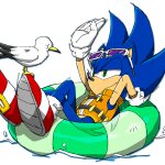 Sonic the Hedgehog & Seagull (Summer)