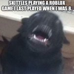This was my night. | ME AFTER EATING A BAG OF SKITTLES PLAYING A ROBLOX GAME I LAST PLAYED WHEN I WAS 8. | image tagged in skittles,dog,hyper,funny,fun | made w/ Imgflip meme maker
