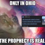 the prophecy is true cat | ONLY IN OHIO; THE PROPHECY IS REAL | image tagged in the prophecy is true cat | made w/ Imgflip meme maker