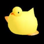 Fat ducky
