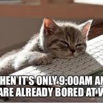 Bored At Work | WHEN IT’S ONLY 9:00AM AND YOU ARE ALREADY BORED AT WORK | image tagged in bored keyboard cat,bored,nothing to do,work,tired | made w/ Imgflip meme maker