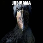 Joe mama | JOE MAMA | image tagged in the w,joe mama,memes,funny,no context,yo mama | made w/ Imgflip meme maker