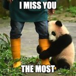 i miss you, the most | I MISS YOU; THE MOST | image tagged in i miss you beary much | made w/ Imgflip meme maker