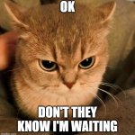 Angry Cat | OK; DON'T THEY KNOW I'M WAITING | image tagged in angry cat | made w/ Imgflip meme maker