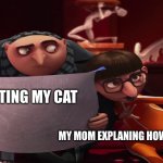 image title | ME PETTING MY CAT; MY MOM EXPLANING HOW I AM A FAILURE | image tagged in vector explanation | made w/ Imgflip meme maker