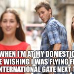 Travel Envy | WHEN I’M AT MY DOMESTIC GATE WISHING I WAS FLYING FROM THE INTERNATIONAL GATE NEXT TO ME | image tagged in cheating,distracted boyfriend,travel,airport,airplane,tourism | made w/ Imgflip meme maker