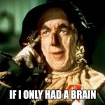 Brain | IF I ONLY HAD A BRAIN | image tagged in oz scarecrow | made w/ Imgflip meme maker