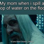 So you have chosen death | My mom when i spill a drop of water on the floor: | image tagged in so you have chosen death,mom | made w/ Imgflip meme maker