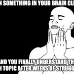 Smooth Face | WHEN SOMETHING IN YOUR BRAIN CLICKS; AND YOU FINALLY UNDERSTAND THE MATH TOPIC AFTER WEEKS OF STRUGGLING | image tagged in smooth face,math,relief,relateable,oh wow are you actually reading these tags | made w/ Imgflip meme maker