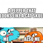 ... | A PEPPER THAT LOOKS LIKE A CAT SKULL; ME                  ALSO ME | image tagged in hold up | made w/ Imgflip meme maker