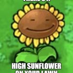 we dont want high sunflowers on the lawn | THERE'S A; HIGH SUNFLOWER ON YOUR LAWN | image tagged in high sunflower | made w/ Imgflip meme maker