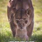 mother lion | LOOK MOM HOW ALL THAT PEOPLE GOT FRIGHTENED BY ME; AND ARE RUNNING AWAY | image tagged in mother lion | made w/ Imgflip meme maker