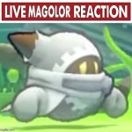 Live Magolor Reaction