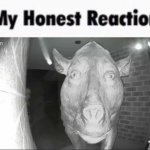 My honest reaction