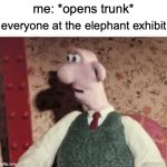 interpret this how you'd like | me: *opens trunk*; everyone at the elephant exhibit: | image tagged in surprised wallace,memes,funny,elephants | made w/ Imgflip meme maker