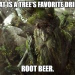 Daily Bad Dad Joke February 17 2023 | WHAT IS A TREE'S FAVORITE DRINK? ROOT BEER. | image tagged in treebeard meme | made w/ Imgflip meme maker