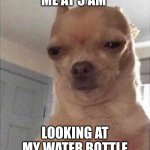 Chihuahua Meme Face | ME AT 3 AM; LOOKING AT MY WATER BOTTLE | image tagged in chihuahua meme face | made w/ Imgflip meme maker