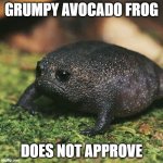 Grumpy Frog | GRUMPY AVOCADO FROG; DOES NOT APPROVE | image tagged in grumpy avocado frog | made w/ Imgflip meme maker