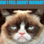 Grumpy Cat Not Amused Meme | HOW I FEEL ABOUT MONDAYS | image tagged in memes,grumpy cat not amused,grumpy cat | made w/ Imgflip meme maker