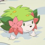 Shaymin