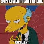 Powder Burns | PEOPLE AT THE POWDERED SUPPLEMENT PLANT BE LIKE; EXCELLENT
PUT THE SCOOP AT THE BOTTOM | image tagged in mr burns excellent,funny memes,health,the simpsons,vitamins | made w/ Imgflip meme maker