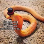 I wish your pillow to be cold on both sides! | You have visited Jerald the snaek. You have been granted luck for a day. | image tagged in dapper snek | made w/ Imgflip meme maker