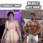what are you? | WEAKEST ANTI FURRY; STRONGEST FURRY | image tagged in gifs,anti furry | made w/ Imgflip video-to-gif maker