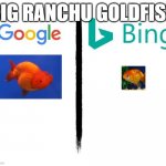 Google v. Bing | BIG RANCHU GOLDFISH | image tagged in google v bing,goldfish,ranchu,fish,aquarium,google search | made w/ Imgflip meme maker