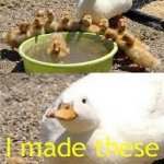 Proud mama duck