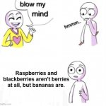 You've been lied to | Raspberries and blackberries aren't berries at all, but bananas are. | image tagged in blow my mind | made w/ Imgflip meme maker