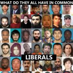 Liberal Mass Shooters