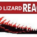 Live red lizard reaction