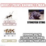 This just makes me go AAAAAAAHHHHHHHHH | RUNNING UP THE STAIRS AND SLIPPING AND HITTING YOUR SHIN | image tagged in most painful things known to man,boardroom meeting suggestion,drake hotline bling,funny,funny memes,funny meme | made w/ Imgflip meme maker