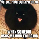 I'm fine. Just fine. | ACTUAL PHOTOGRAPH OF ME; WHEN SOMEONE ASKS ME HOW I'M DOING | image tagged in hissing cat | made w/ Imgflip meme maker