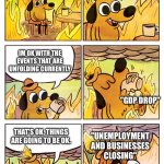 Economy in 2020 be like: | ECONOMY IN 2020 BE LIKE:; THIS IS FINE; IM OK WITH THE EVENTS THAT ARE UNFOLDING CURRENTLY; "GDP DROP"; "UNEMPLOYMENT AND BUSINESSES CLOSING"; THAT'S OK, THINGS ARE GOING TO BE OK. *GDP DROP* | image tagged in thisimagehasalotoftags,this is fine,lol,xd,haha,dark humor | made w/ Imgflip meme maker