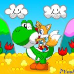 Meet the Yoshi & baby Tails