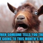 Crazy goat | WHEN SOMEONE TELLS YOU THEY AREN'T GOING TO THIS MONTH'S MEET UP. | image tagged in crazy goat | made w/ Imgflip meme maker