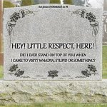 Straight From The Heart | Ron Jensen (FORMERLY) on FB; HEY! LITTLE RESPECT, HERE! DID I EVER STAND ON TOP OF YOU WHEN I CAME TO VISIT? WHADYA, STUPID OR SOMETHING? | image tagged in gravestone,grave,graveyard,cemetery,buried | made w/ Imgflip meme maker