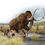 Stone Age Mammoth template