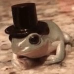 dapper frog meme