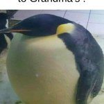 "Come on, you have hardly eaten anything !" | Me after going to Grandma's : | image tagged in i'm da biggest bird | made w/ Imgflip meme maker